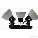 Spot Anabella 3 Luces Negro
