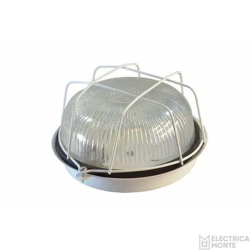 [800004] Tortuga Chapa Redonda Blanca